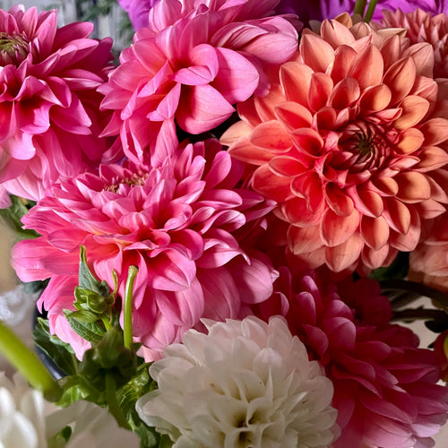 La botte de dahlias